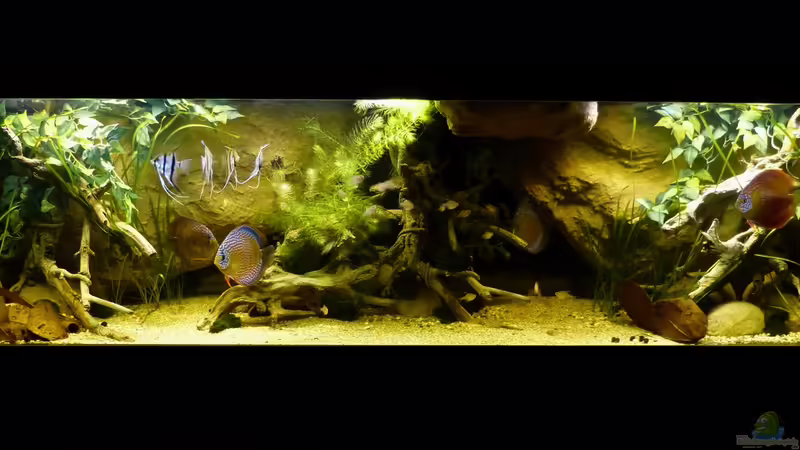 Gesamtansicht 01.04.14 von ~Marco~ (16)