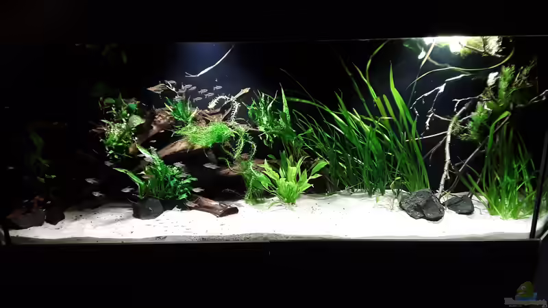 Gesamtansicht 01.05.18 von Tim E. (7)