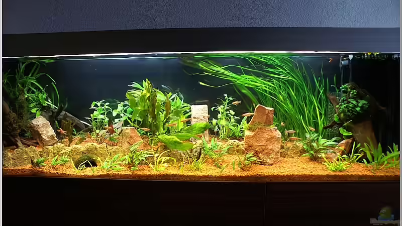 Gesamtansicht 01.05.2010 Mittag von Christian Zwick (21)