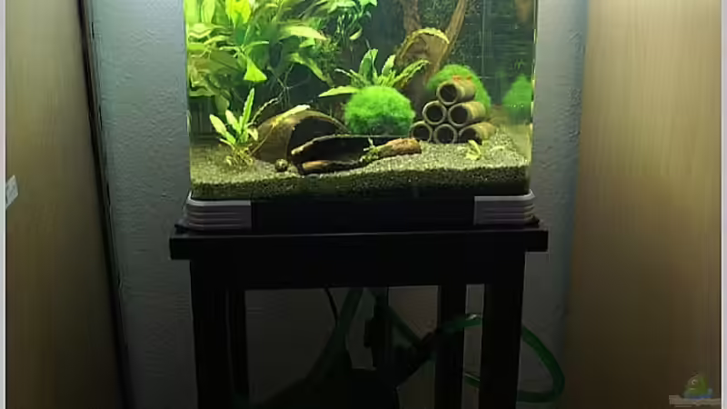 Gesamtansicht 01.05.2010 von Christian Zwick (2)