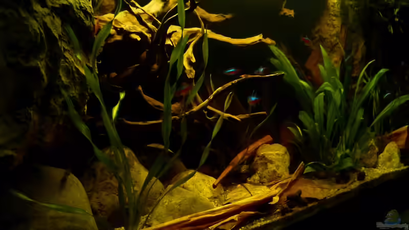 Gesamtansicht 01.07.13 von ~Marco~ (3)