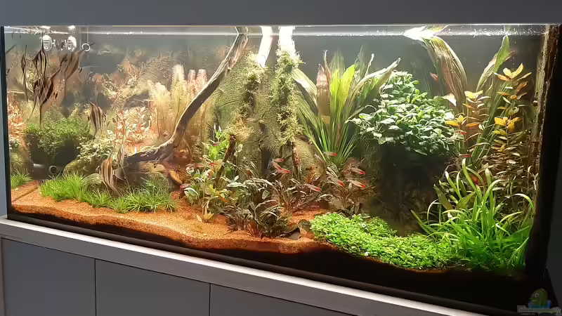 Gesamtansicht 01.07.2021 von tripledad (18)