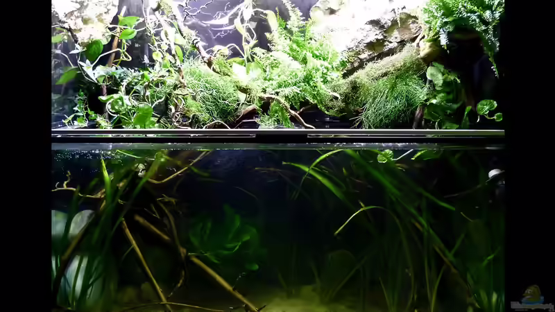 Gesamtansicht 01.08.15 von ~Marco~ (4)