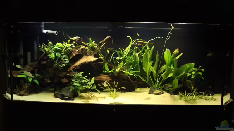 Gesamtansicht 01.10.19 von Tim E. (11)