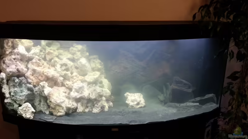 Gesamtansicht 01.11.2012 von Volker (2)