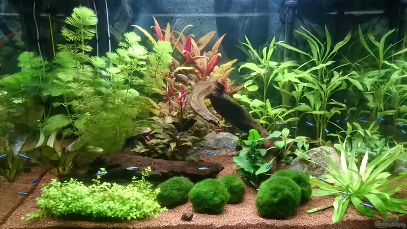 Gesamtansicht 01_2016 von kNaLLeR (8)