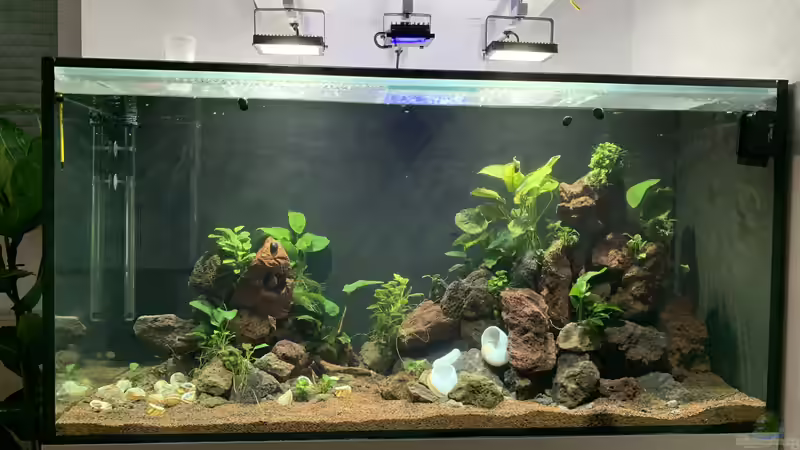 Gesamtansicht 01 von KLu_69 (1)