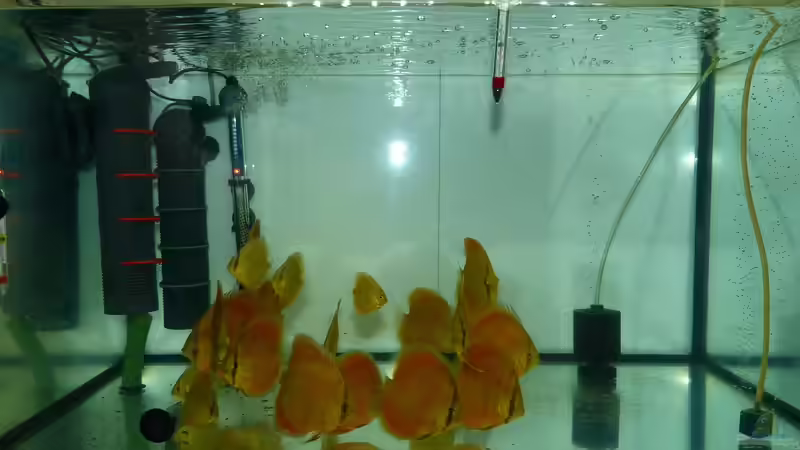 Gesamtansicht 02.01.15 von ~Marco~ (4)