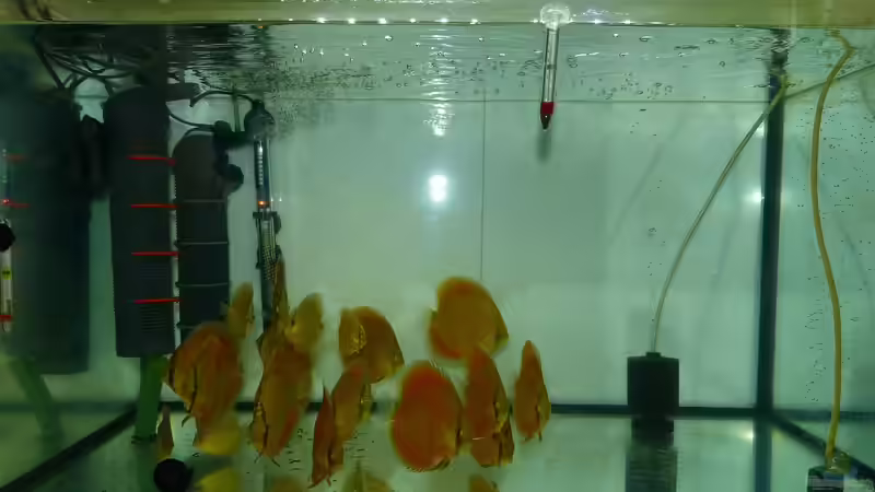 Gesamtansicht 02.01.15 von ~Marco~ (5)