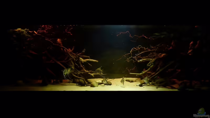 Gesamtansicht 02.03.15 von ~Marco~ (29)