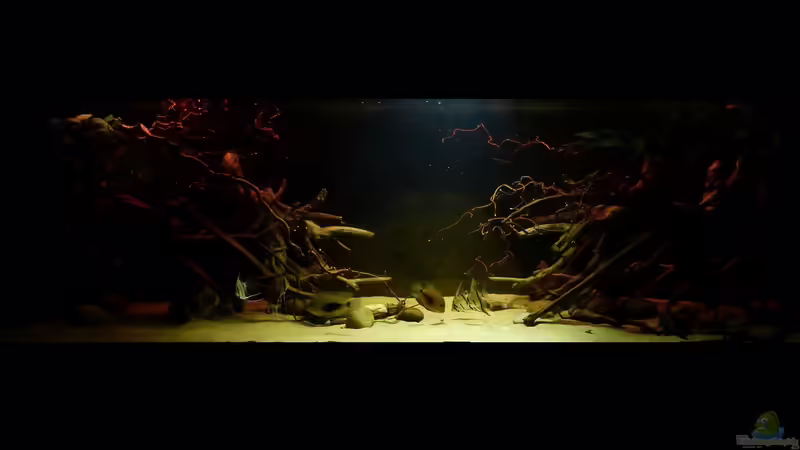 Gesamtansicht 02.03.15 von ~Marco~ (30)