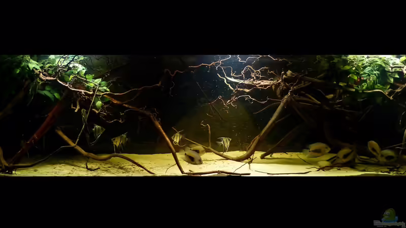 Gesamtansicht 02.04.15 von ~Marco~ (36)