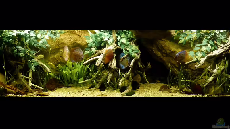 Gesamtansicht 02.08.14 von ~Marco~ (25)