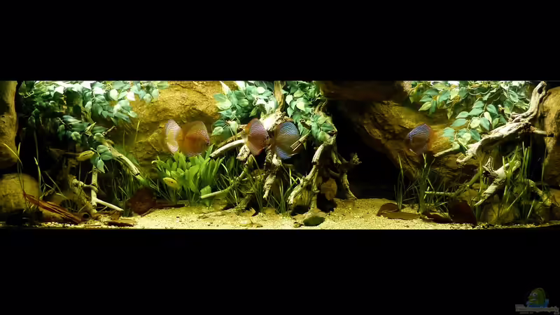 Gesamtansicht 02.08.14 von ~Marco~ (26)