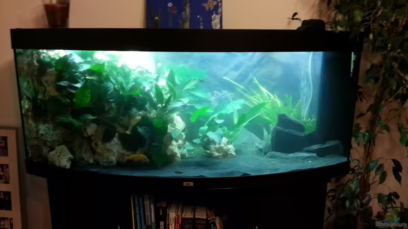 Gesamtansicht 02.12.2012 von Volker (16)