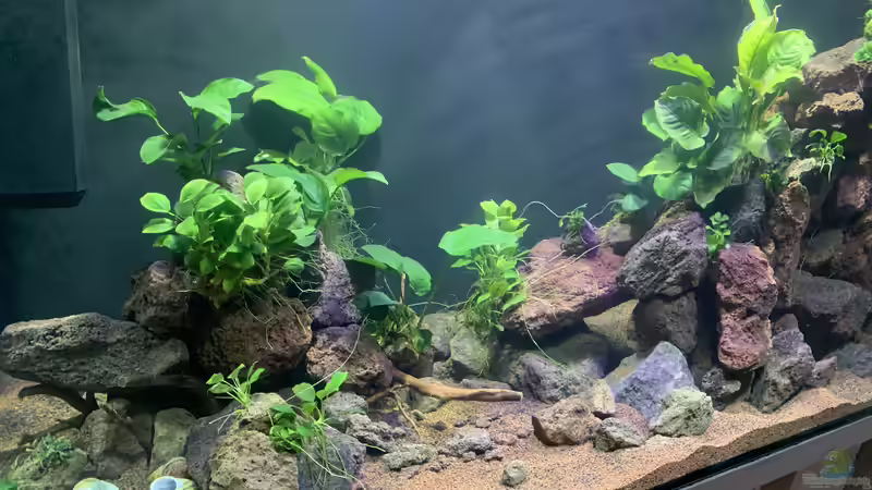 Gesamtansicht 02 von KLu_69 (2)