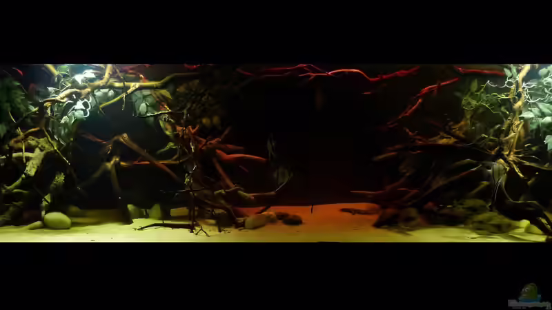 Gesamtansicht 03.02.15 von ~Marco~ (25)