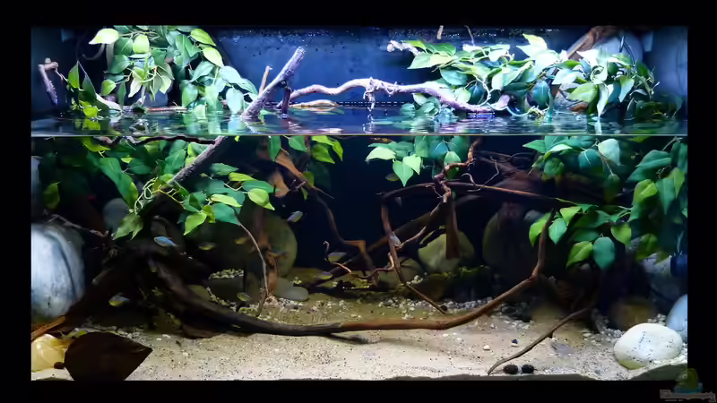 Gesamtansicht 03.06.16 von ~Marco~ (3)