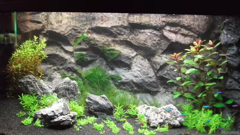 Gesamtansicht 03.09.2010; Pflanzen müssen jetzt natürlich noch wachsen von Romer (11)