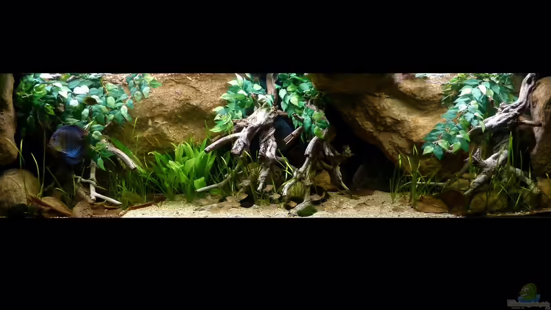 Gesamtansicht 05.08.14 von ~Marco~ (27)