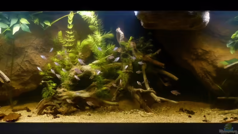 Gesamtansicht 06.03.14 von ~Marco~ (10)