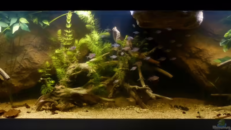 Gesamtansicht 06.03.14 von ~Marco~ (11)