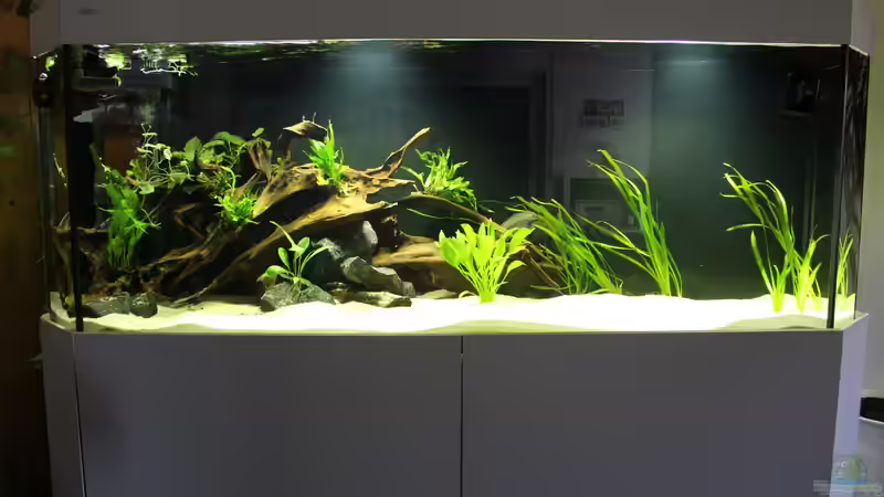 Gesamtansicht 06.04.18 von Tim E. (2)