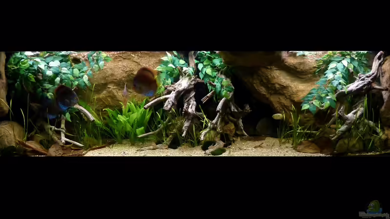 Gesamtansicht 07.08.14 von ~Marco~ (29)