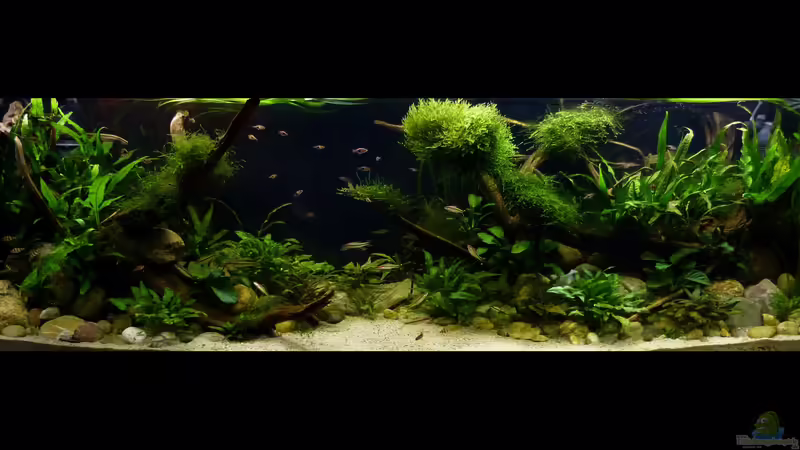 Gesamtansicht 07.12.2018 von ~Marco~ (10)