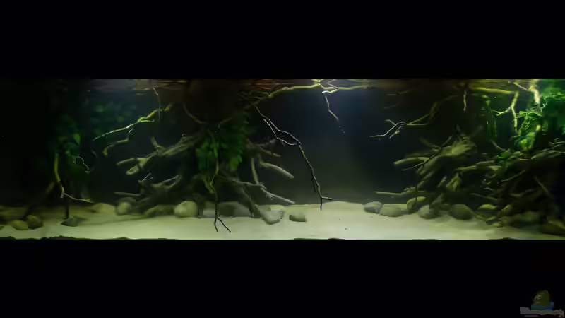 Gesamtansicht 08.01.15 Tag 2 von ~Marco~ (4)