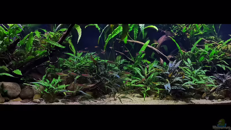 Gesamtansicht 08.01.2020 von ~Marco~ (16)