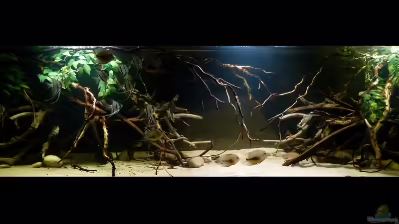 Gesamtansicht 08.02.15 von ~Marco~ (26)