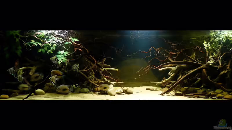 Gesamtansicht 08.03.15 von ~Marco~ (33)