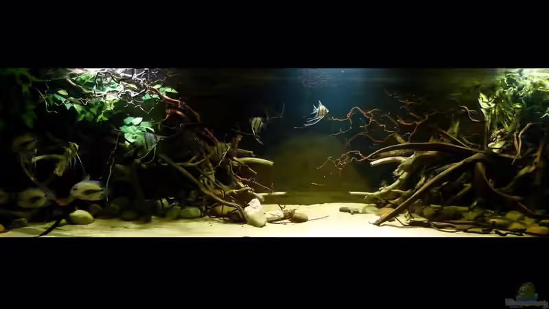 Gesamtansicht 08.03.15 von ~Marco~ (34)