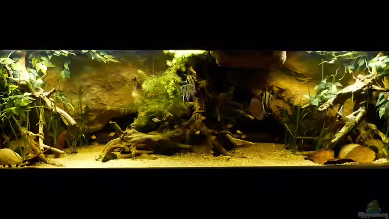 Gesamtansicht 08.04.14 von ~Marco~ (17)