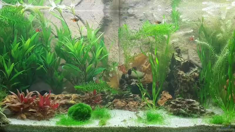 Gesamtansicht (08.10.2016) von Chris-BluBB (2)