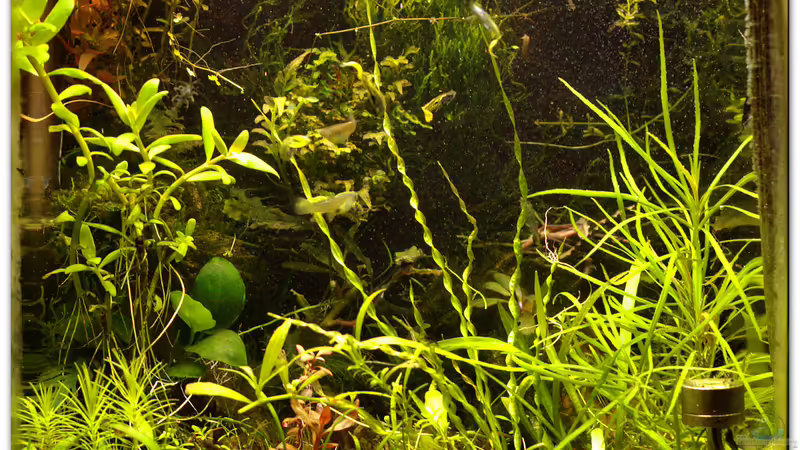 Gesamtansicht 09.09.2015 von hotwheelz (11)