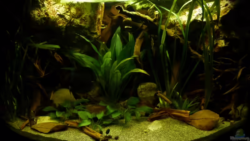 Gesamtansicht 10.12.12 von ~Marco~ (6)