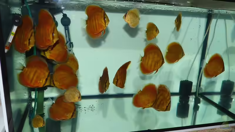 Gesamtansicht 11.01.15 von ~Marco~ (3)