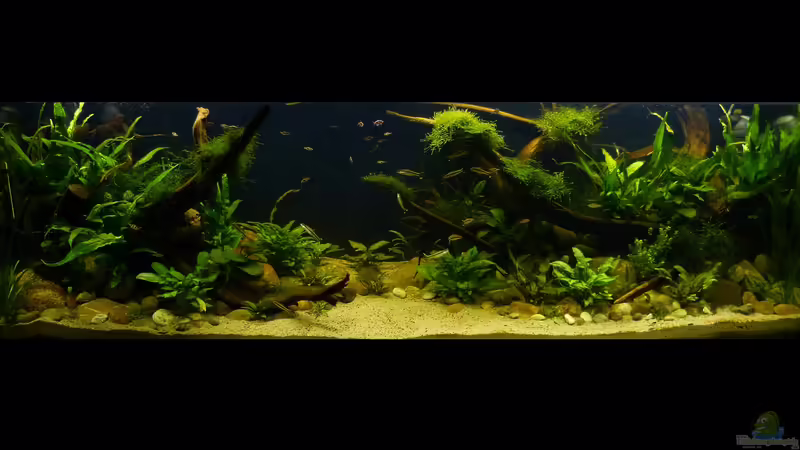 Gesamtansicht 11.10.2018 von ~Marco~ (7)