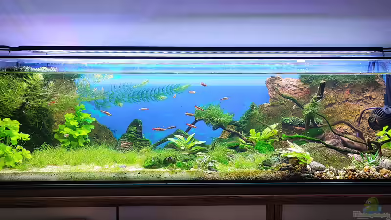 Gesamtansicht 12.06.2022 von bergfrau (1)