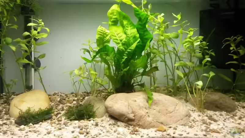 Gesamtansicht 13.01.16 von J. (2)