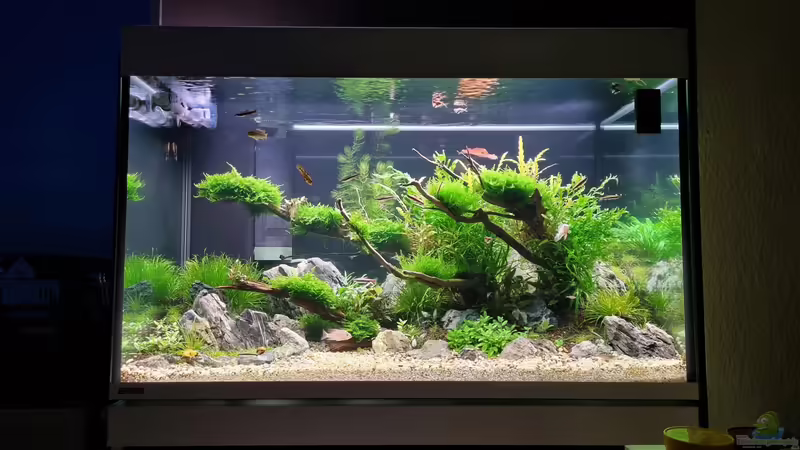 Gesamtansicht 13.03.2022 von Comander (9)