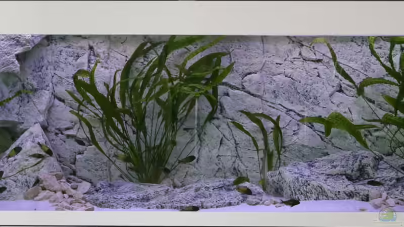 Gesamtansicht 13.07.2013