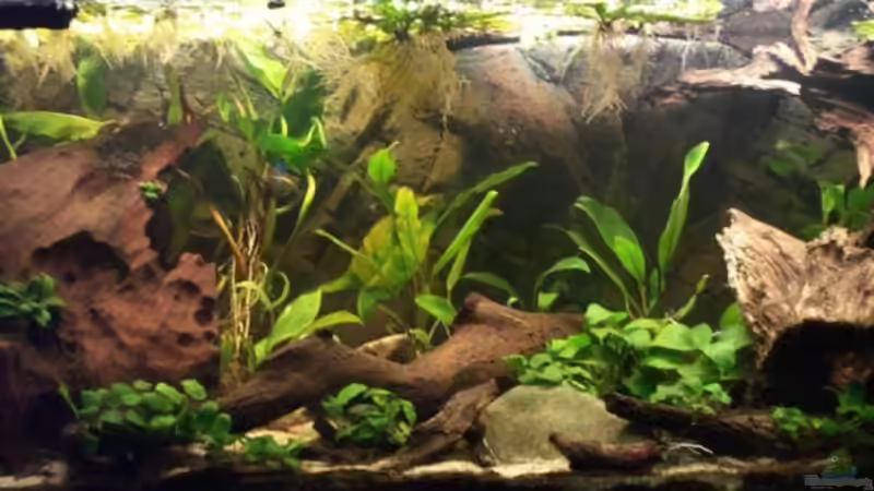 Gesamtansicht 13.09.2009 von Misanthrop (1)