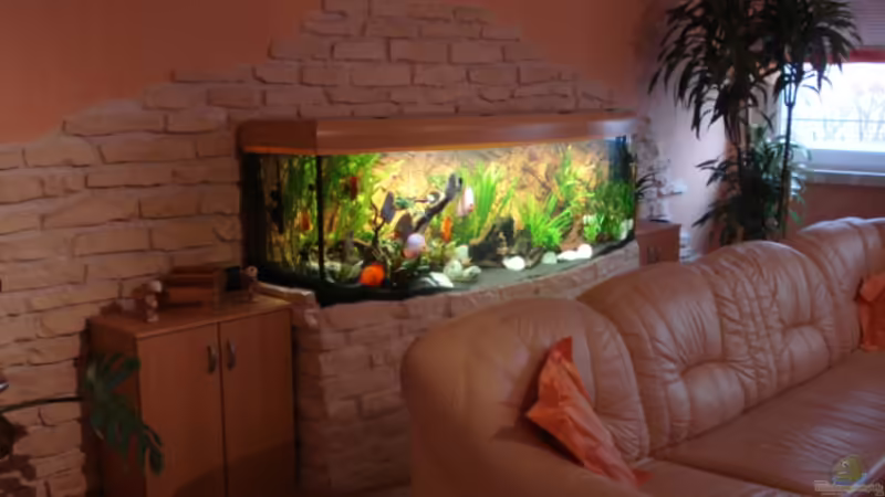 Gesamtansicht 14.11.2011 von matze70 (14)