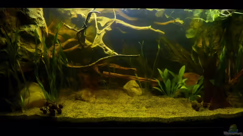 Gesamtansicht 15.02.13 von ~Marco~ (10)