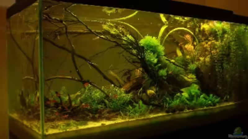 gesamtansicht 16.11.2008 von hp (5)