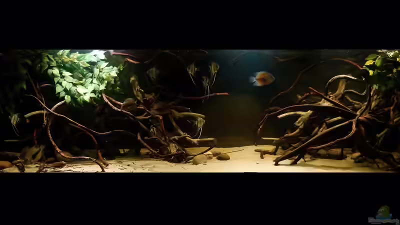 Gesamtansicht 17.02.15 von ~Marco~ (27)