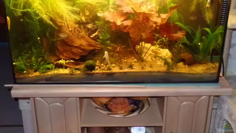 Gesamtansicht 17.08.2014 von raubsau (3)